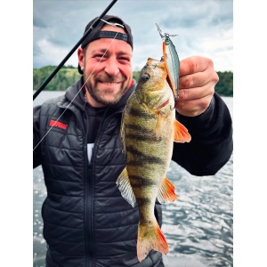 Vobler Rapala Vobler Shadow Rap Shad Deep SDRSD09 BGH 9cm 12g pentru pescuit la rapitori - Fisela