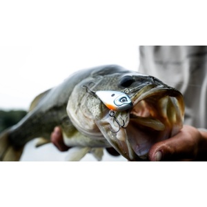 Vobler Rapala Vobler Snare SN50 RTBC 6cm 16g pentru pescuit la rapitori - Fisela