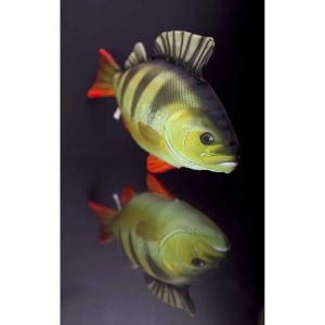 Biban din Plus Cadou Pescuit 32cm - vedere secundara