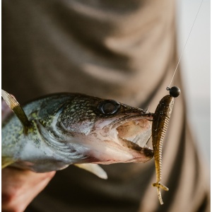Crushcity Mooch Minnow Green Pumpkin Chartreuse Pepper 9cm 6buc - echipament pentru pescuit - Fisela