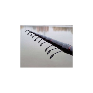 Lanseta Carp Expert Telematch 3.90m 5-20g - detaliu produs