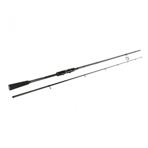 Lanseta Sportex Black Arrow G4 2.10m 11-31g 2 Sect