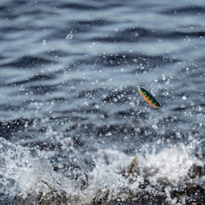 Oscilanta Antibradis Rapala Minnow Spoon RMS08 ATPE 8cm 22g - echipament pentru pescuit - Fisela