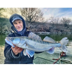 Rapala Crushcity The Kickman Sparkle Shad 10cm 7buc - Img 10