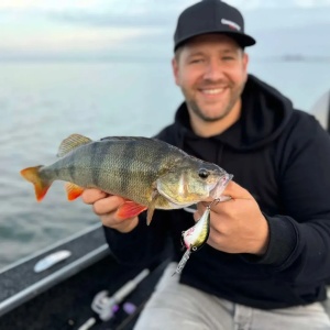 Rapala Dives-To DT08 DSSD Disco Shad 5cm 12g