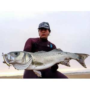 Rapala Precision Extreme Mavrik Muikku 11cm 15g - Img 2