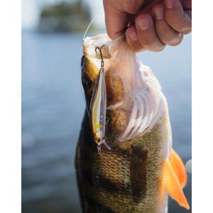 Rapala Precision Xtreme Airboss Fire Tiger FT 8cm 9g - Img 6