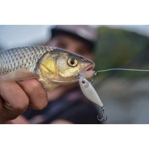 Rapala X-Light Minnow Clown CLN 5cm 4g - Img 3
