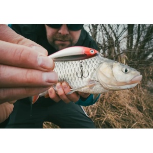 Rapala X-Light Minnow Fire Tiger FT 5cm 4g - Img 6