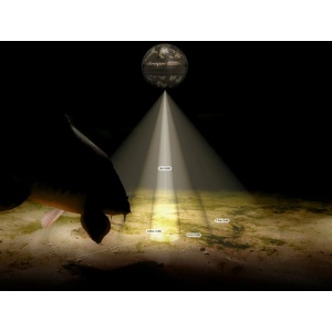Sonar Deeper Smart Chirp 4.0 - echipament pentru pescuit - Fisela