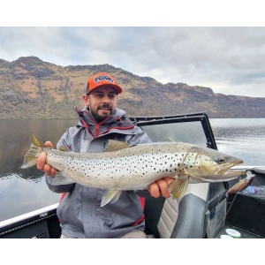 Vobler Rapala Vobler Countdown Elite CDE55 GDWK 5.5cm 5g pentru pescuit la rapitori - Fisela