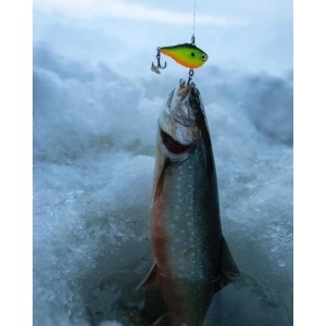 Vobler Rapala Rippin Rap RPR07 Leprechaun 7cm 24g - Img 10