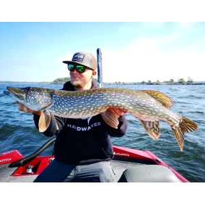 Vobler Rapala RipStop Deep RPSD12 HDI 12cm 15g pentru pescuit la rapitori - Fisela