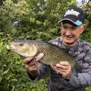 Vobler Salmo Vobler Lil Bug BG3F BBG 3cm 4.3g pentru pescuit la rapitori - Fisela