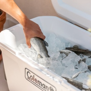 Lada Frigorifica Coleman Marine Xtreme 94l 2023 - echipament pentru pescuit - Fisela