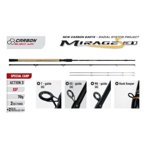 Lanseta Colmic Mirage S31 Special Carp 3m 70g