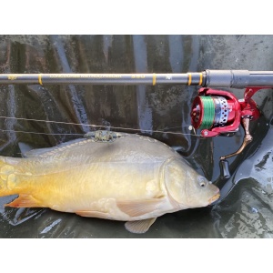 Mulineta Benzar Method Feeder 6500 pentru pescuit - Fisela