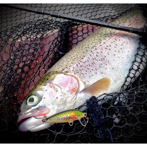 Rapala Countdown CD01 S Silver 2.5cm 2.7g - echipament pentru pescuit - Fisela