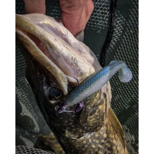 Rapala Crushcity The Kickman Sparkle Shad 10cm 7buc - Img 7