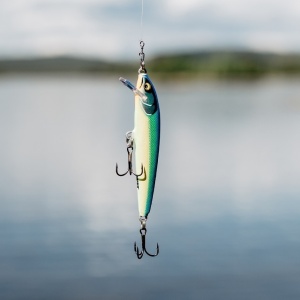 Vobler Rapala Floater Elite FE85 GDPY 8.5cm 6.5g pentru pescuit la rapitori - Fisela