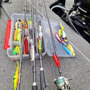 Rapala Rattlin Minnow RMSR08 CH 8cm 16g - Img 2