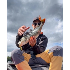 Rapala Shad Rap Elite SRE75 GDCO Gilded Chartreuse Orange Belly 7.5cm 12g - Img 7