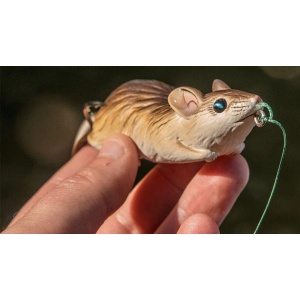Soarece LT Hollow Body Field Mouse 403 6cm 11g - Img 3