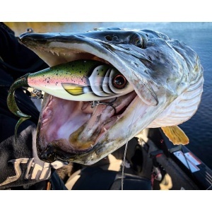 Strike Pro Guppie Downsize Shallow White Firetiger Glitter 9cm 35g - echipament pentru pescuit - Fisela