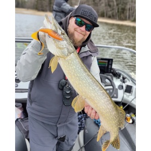 Swimbait Stiuca Rapala Soft Olio Fire Tiger FT 18cm 55g - Img 14