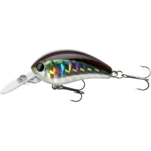 Vobler Clean Daiwa TN Baby Crank 35F Kibinago 3.5cm 3.5g