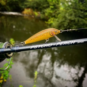 Vobler Rapala Vobler Pastrav Count Down CD07 YP 7cm 8g pentru pescuit la rapitori - Fisela