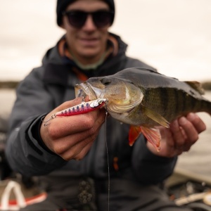 Vobler Rapala Floater Elite FE120 GDS12cm 10g pentru pescuit la rapitori - Fisela