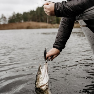 Vobler Rapala Vobler Precision Extreme Mavrik FGG 11cm 15g pentru pescuit la rapitori - Fisela