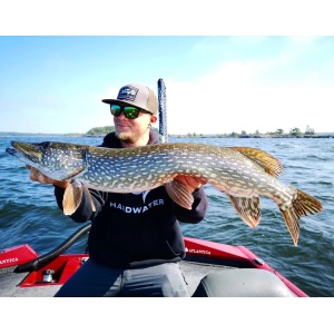 Vobler Rapala RipStop Deep RPSD12 AS 12cm 15g - Img 5
