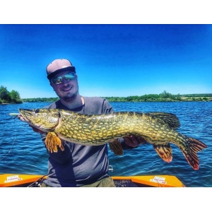 Vobler Rapala Ripstop RPS12 HDI 12cm 14g pentru pescuit la rapitori - Fisela