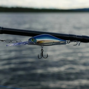 Vobler Rapala Shadow Rap Jack Deep SDRJD05 HH 5cm 6g - Img 4