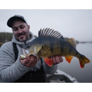 Vobler Rapala Vobler X-Light Crank Mid Runner FNCM03 ROL 3.5cm 4g pentru pescuit la rapitori - Fisela