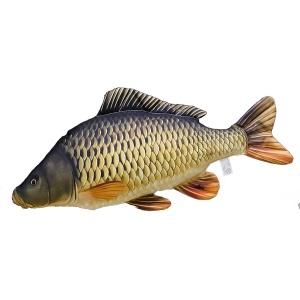 Crap din Plus Cadou de Pescuit Pentru Copii 33cm