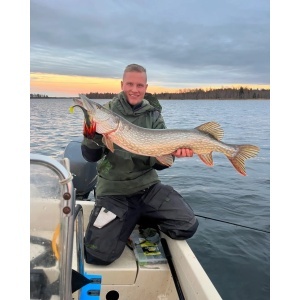 Montura Swimbait VMC Moustache Rig Butternut (11g, 20g, 40g) - echipament pentru pescuit - Fisela