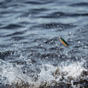 Oscilanta Antibradis Rapala Minnow Spoon RMS06 MBT 6cm 9g - echipament pentru pescuit - Fisela