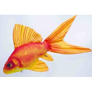 Perna Goldfish Caras Auriu din Plus 50cm