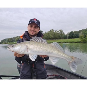Rapala Crushcity The Kickman Pearl White 10cm 7buc - Img 4