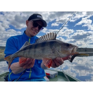 Rapala Neds Goby GO 7.5cm 10buc - Img 8