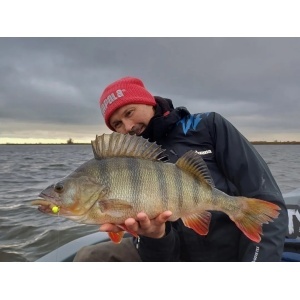Rapala Neds Green Pumpkin GPPK 7.5cm 10buc - Img 2