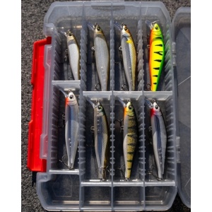 Rapala Precision Xtreme Airboss Live Roach ROL 8cm 9g - Img 4