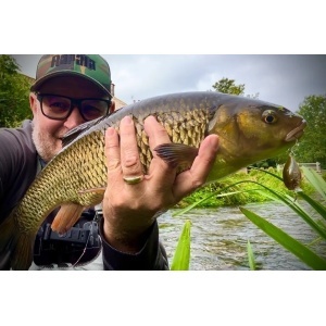 Vobler Rapala Clean X-Light Crank SR GFR 3.5cm 4g pentru pescuit la rapitori - Fisela