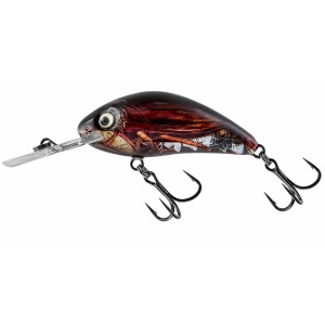 Salmo Rattlin Hornet 3.5F RLC Real Cockchafer 3.5cm 3.1g