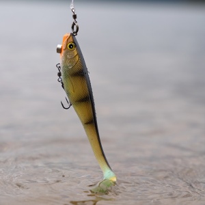 Swimbait Stiuca Rapala Soft Peto Prerigged BLG 16cm 36g - echipament pentru pescuit - Fisela