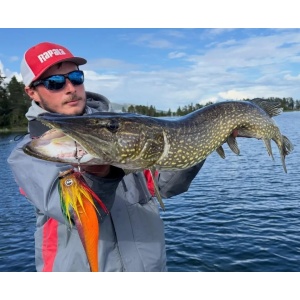 Swimbait Stiuca Rapala Soft Peto Prerigged SNS 18cm 51g - echipament pentru pescuit - Fisela