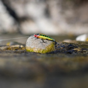 Vobler Rapala Vobler Countdown Elite CDE55 GDIW 5.5cm 5g pentru pescuit la rapitori - Fisela